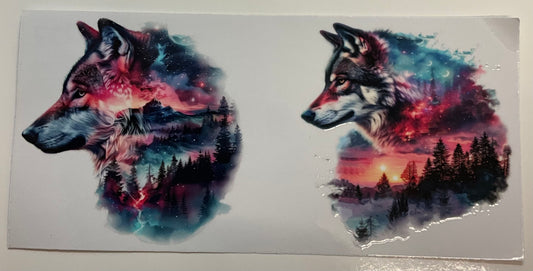 237 Wolf