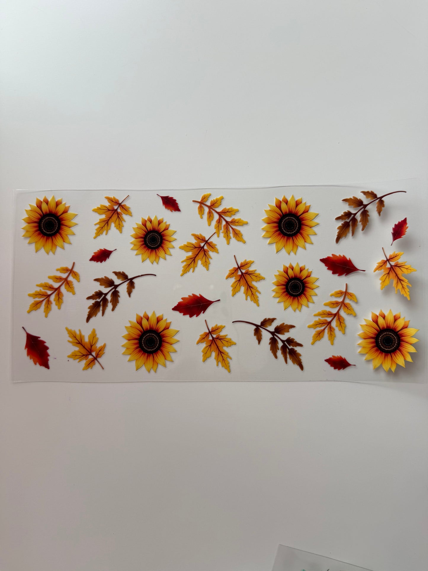 Sonnenblume
