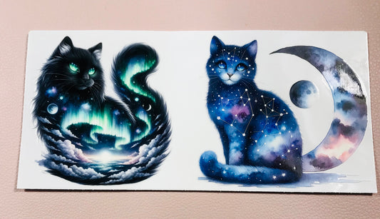307 Nordlicht cat
