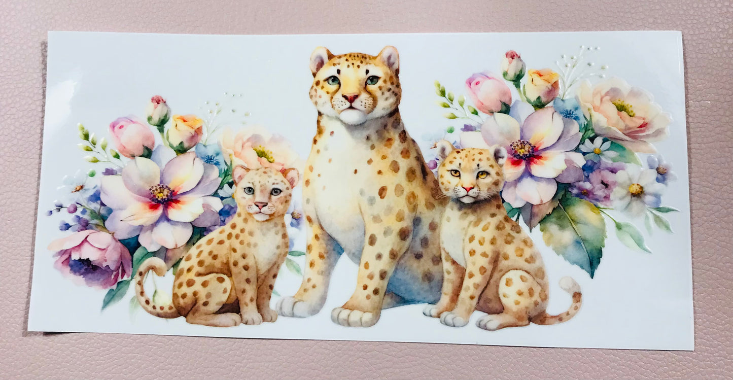Cheetah