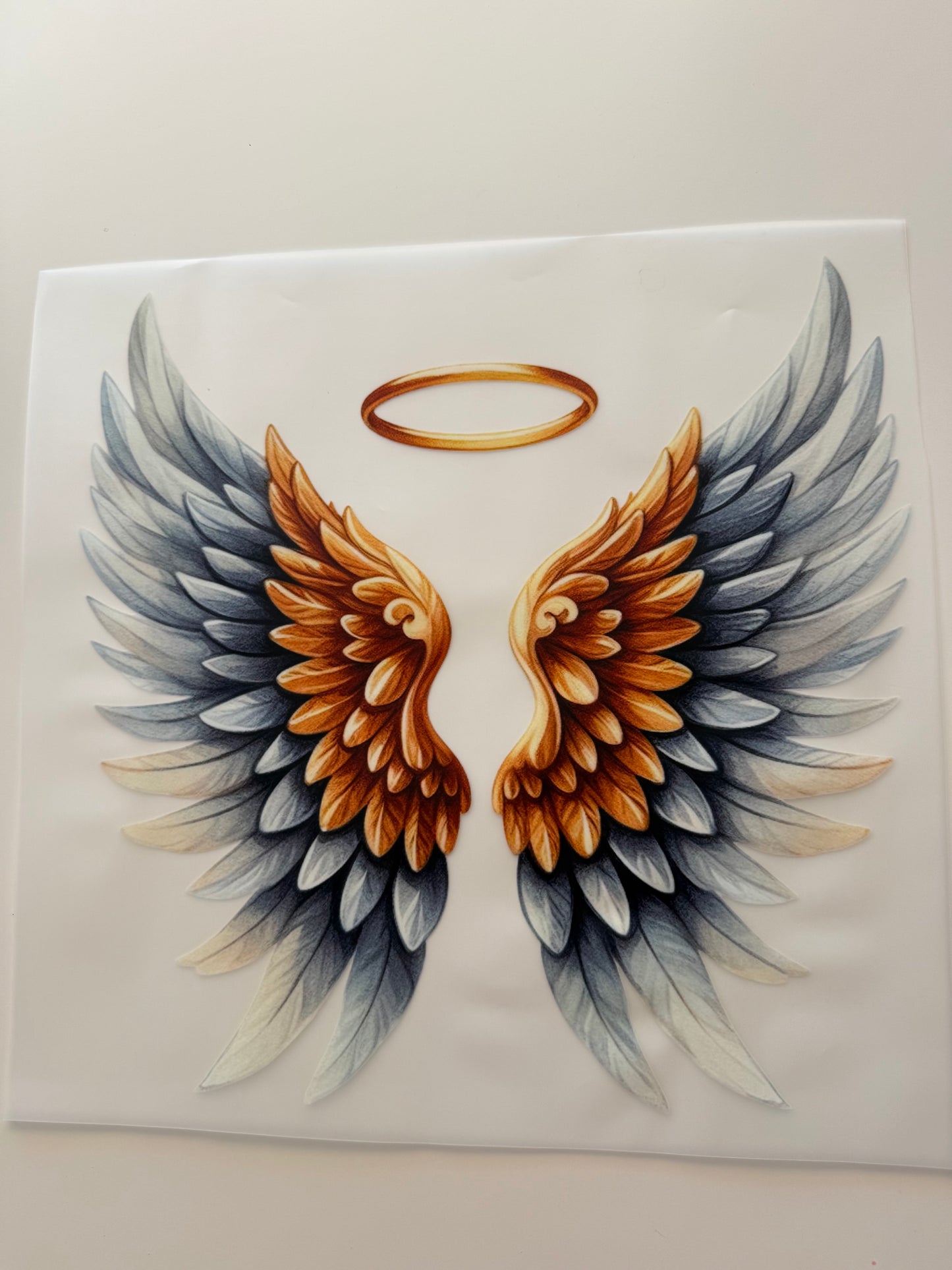 Angel wings 6