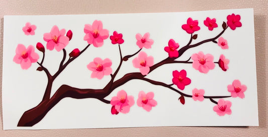 Kirschblüte 9