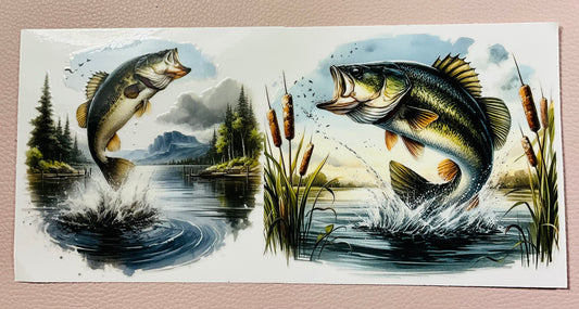 Fisch 4