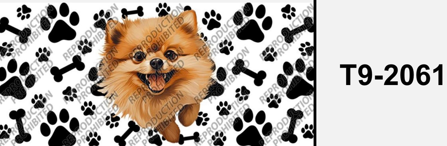 dog T9-2061