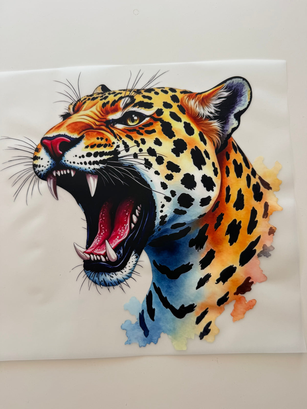 Leo