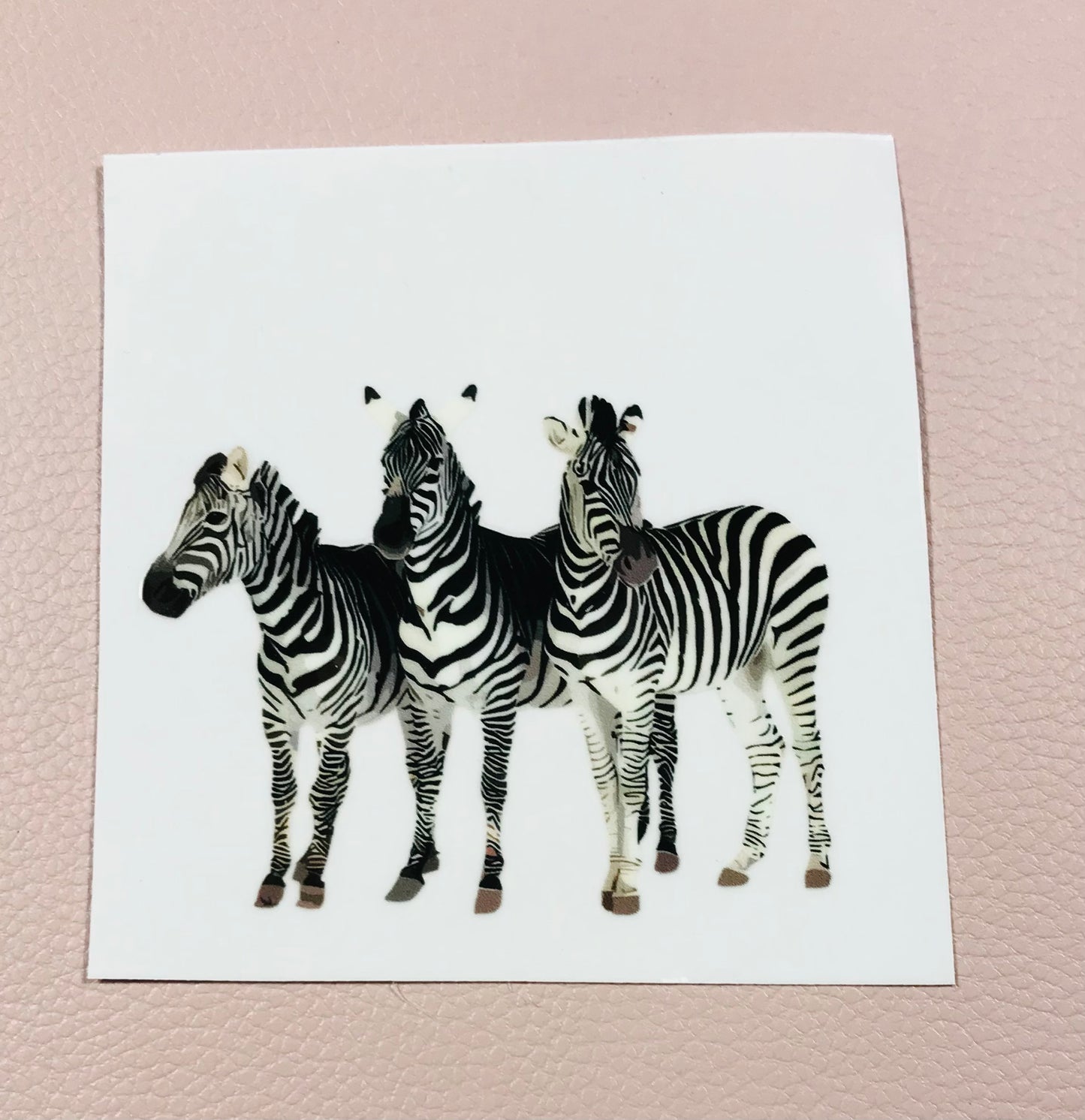 Zebras