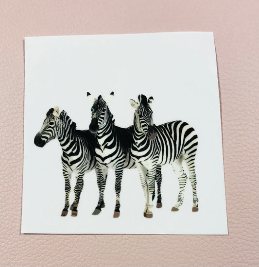 Zebras