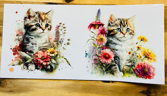 179 cute cat