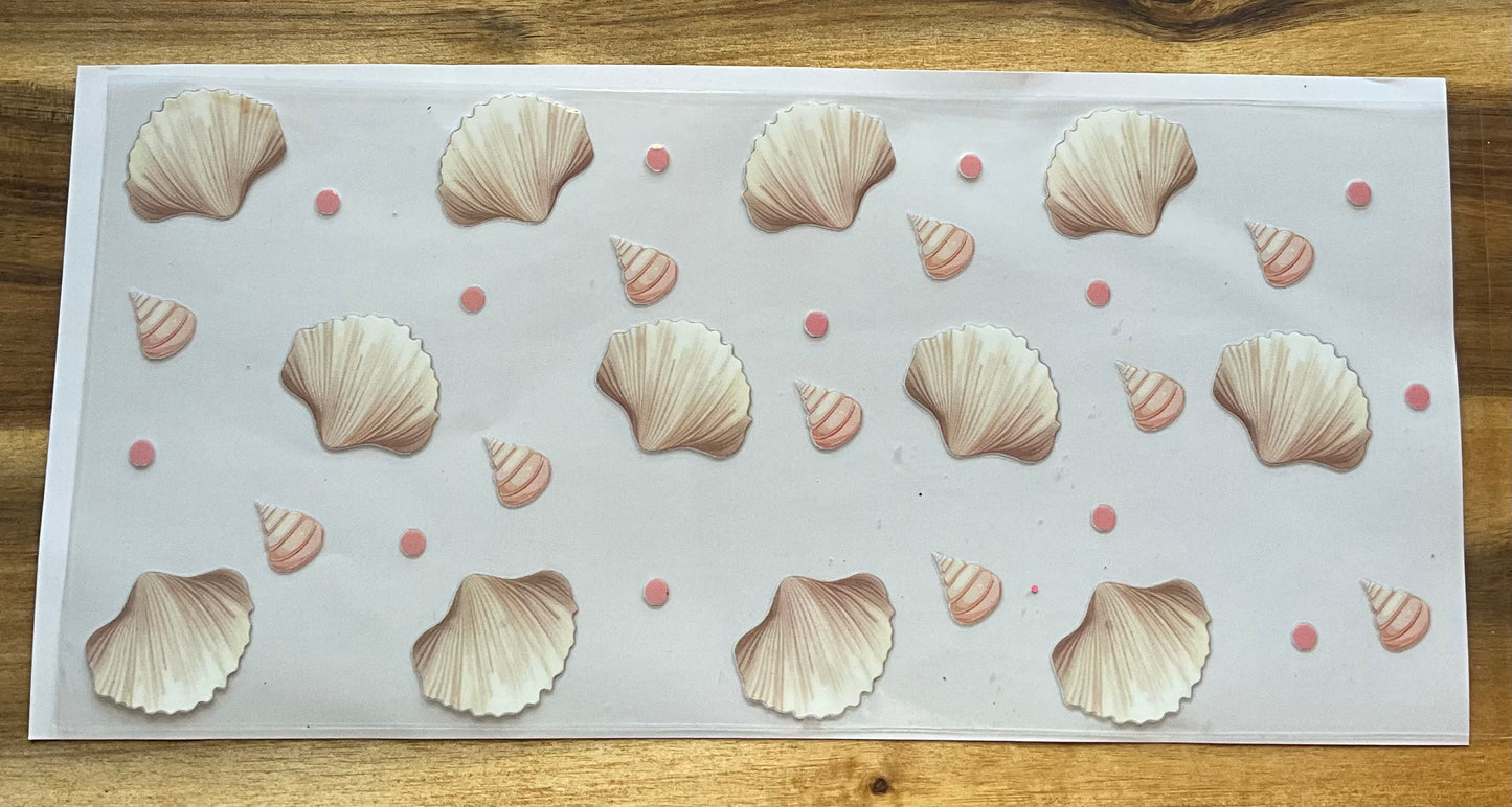 Muscheln 🐚