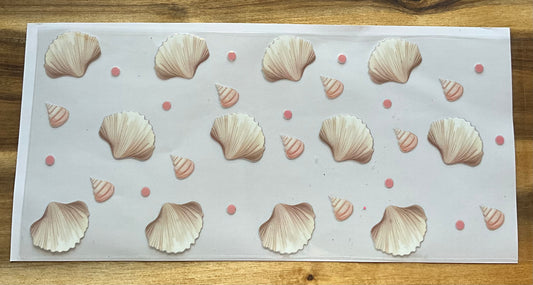 Muscheln 🐚