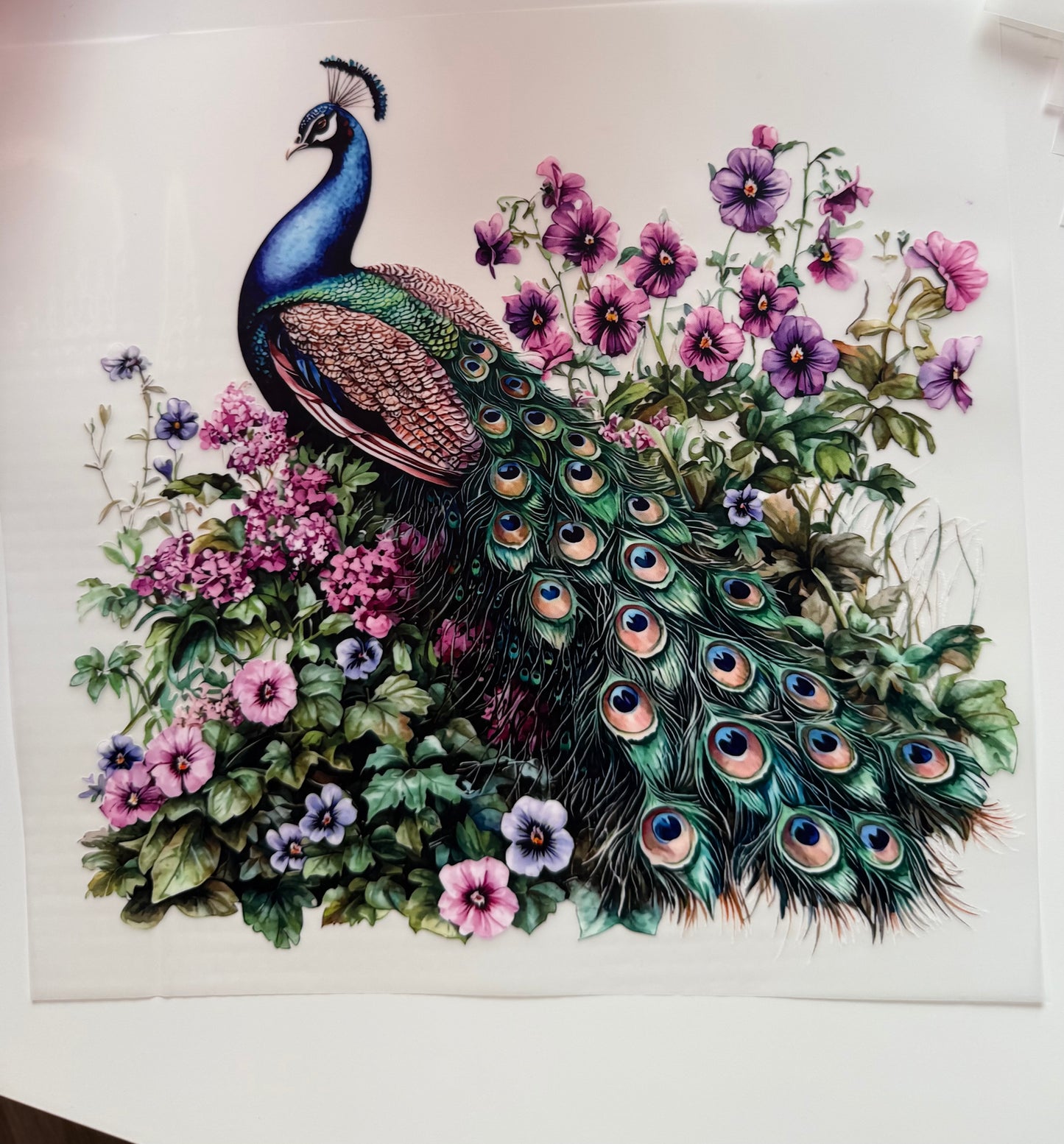 Pfau und Blumen