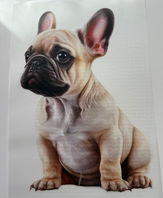 Textil-Sticker dog frenchi