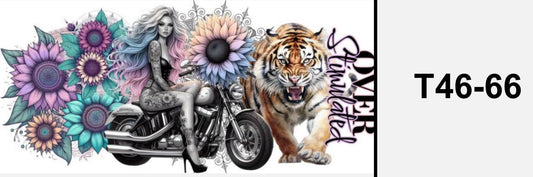 Tiger Girl over stimulated,  Motorrad  T46-66