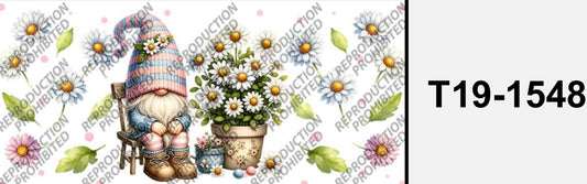 Süsser Zwerg  T19-1548