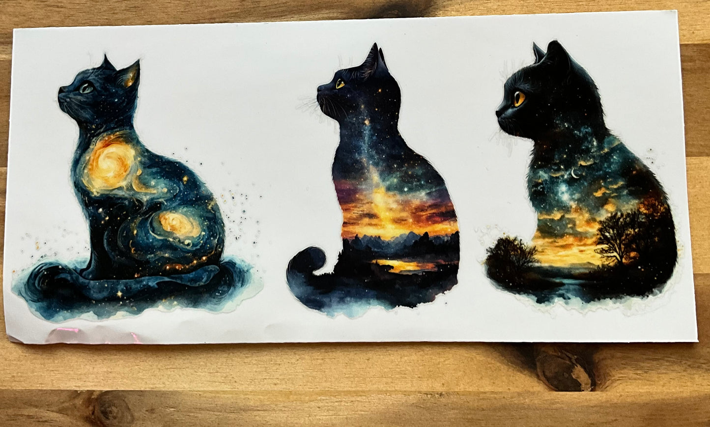 Wundervolle Katzen