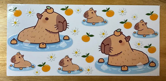 Capybara und orangen