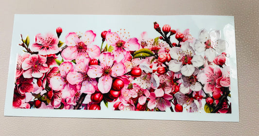 Kirschblüte 2