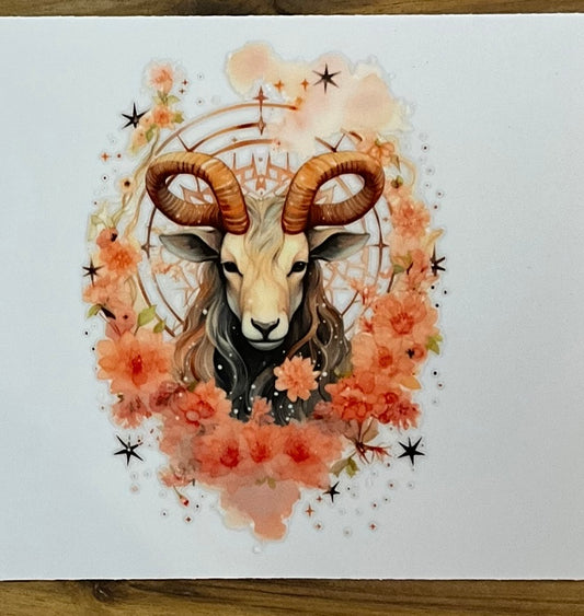 Solo Sternzeichen Steinbock