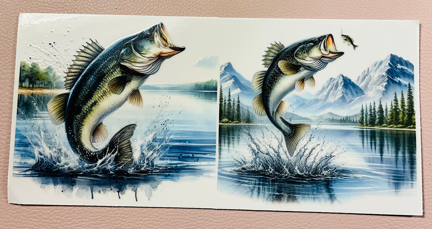 Fisch 5