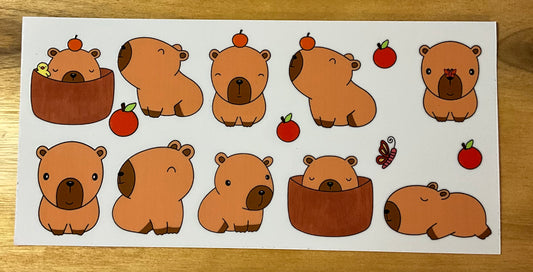 Capybara cute