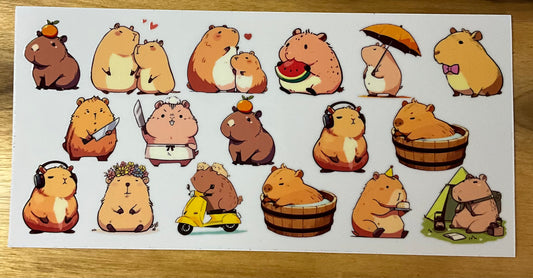 Capybara live 2nd