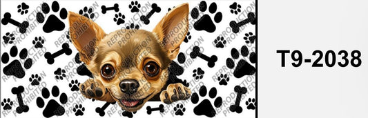 Chihuahua dog T9-2038