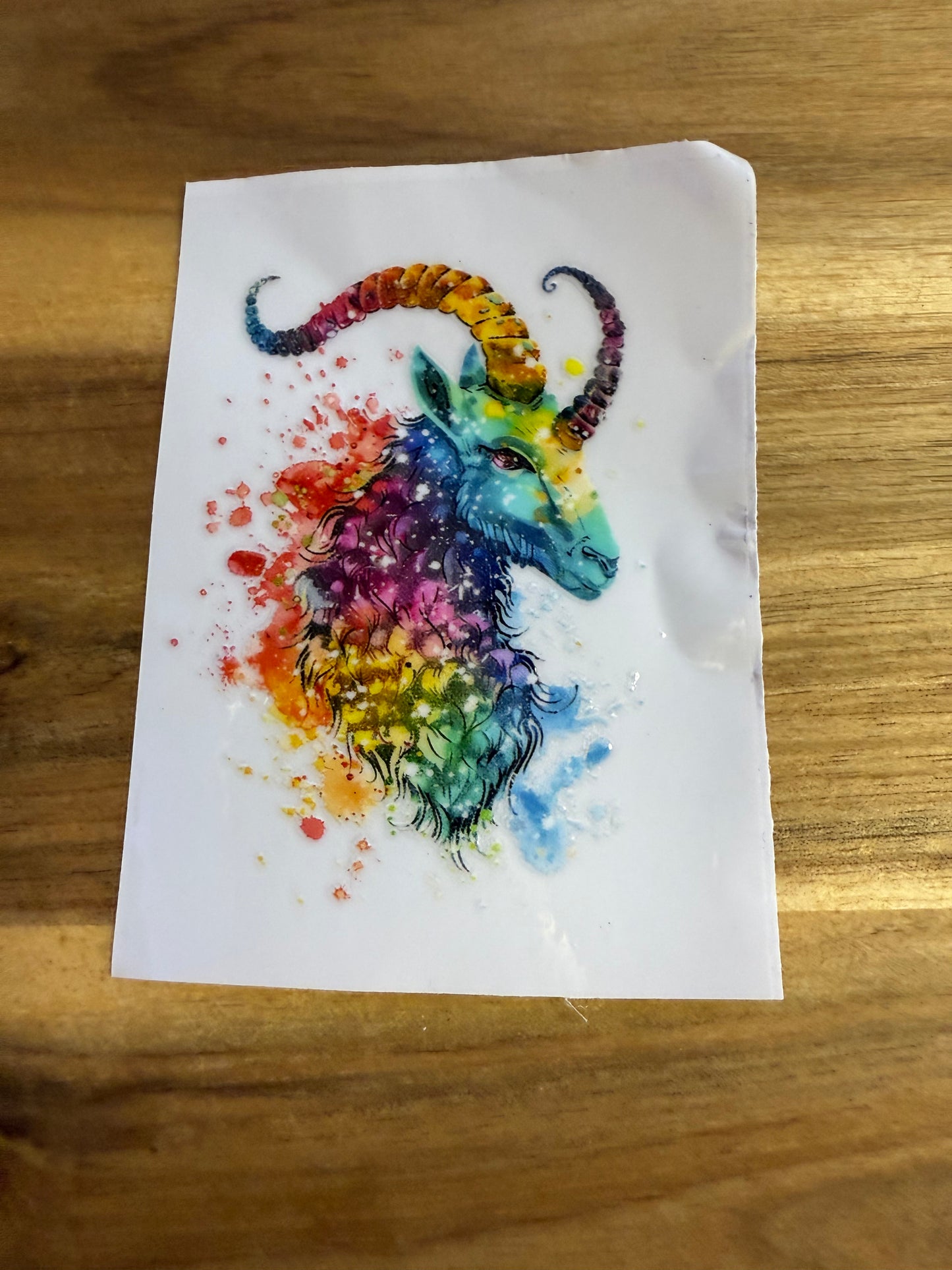 328 verschiedene Steinbock