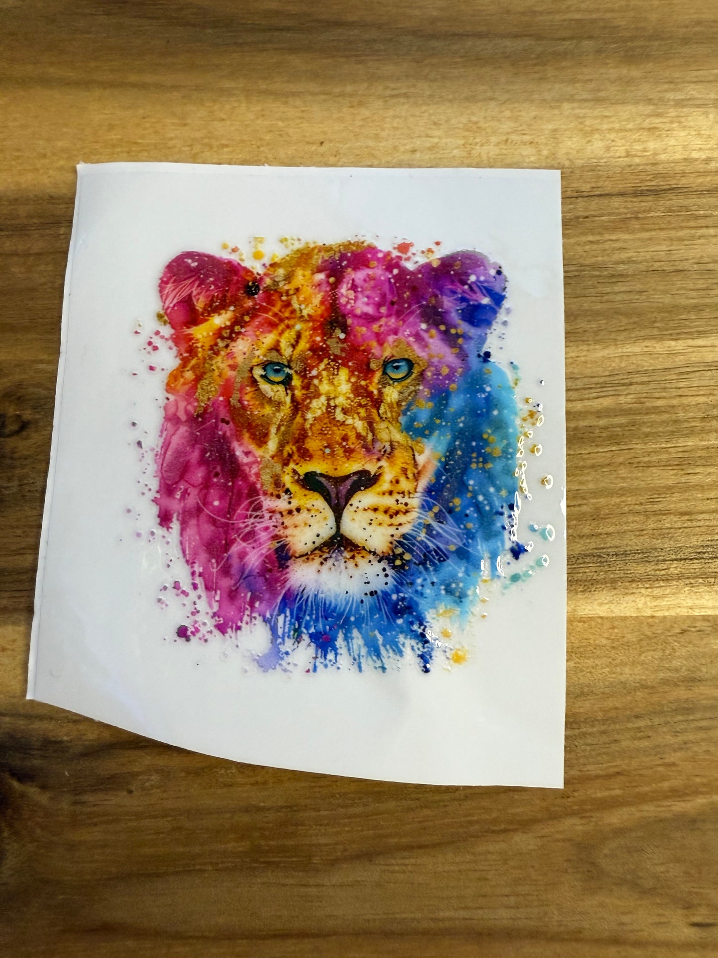 322 verschiedene Löwe