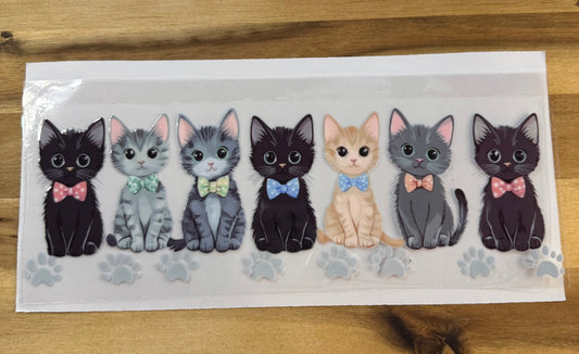 Cute cats 🐈‍⬛