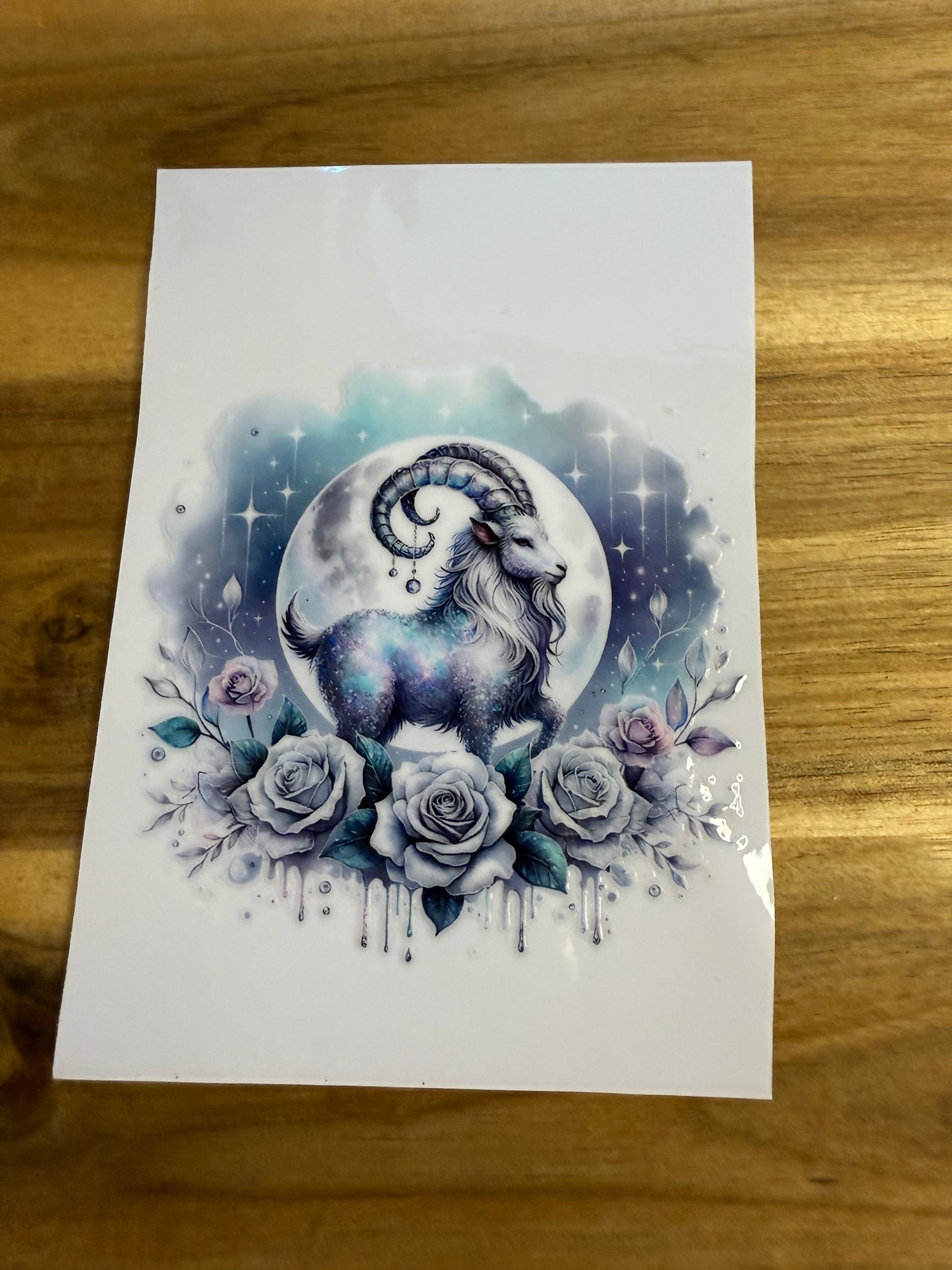 328 verschiedene Steinbock