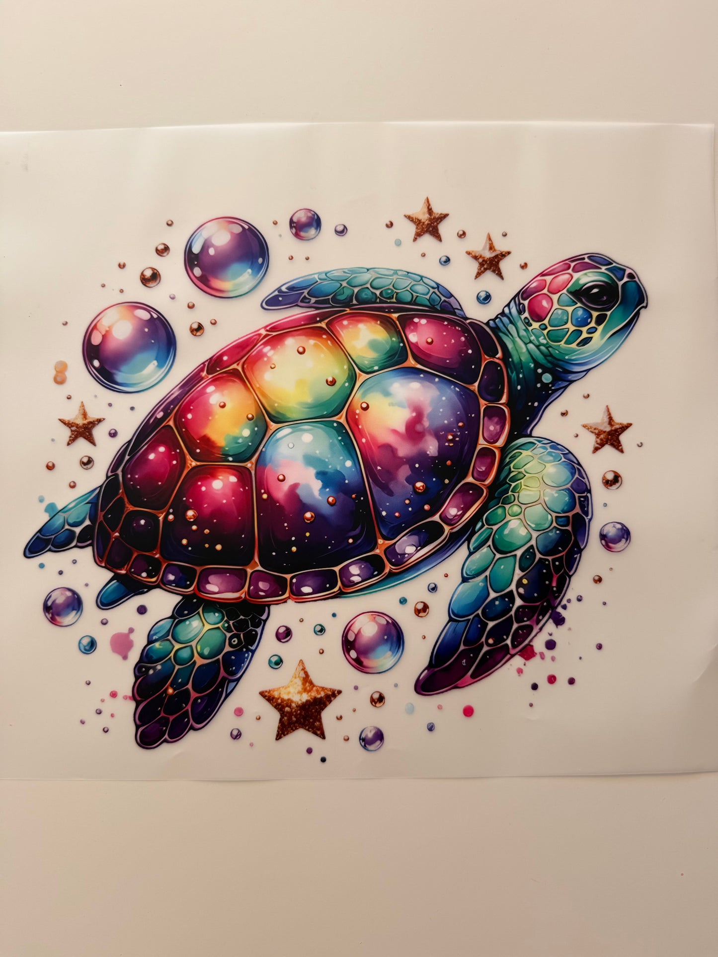 Schildkröte 🐢