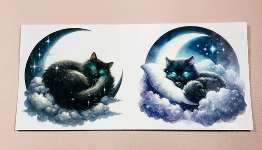 Dream Nordlicht cat