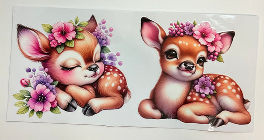 Rehkitz cute