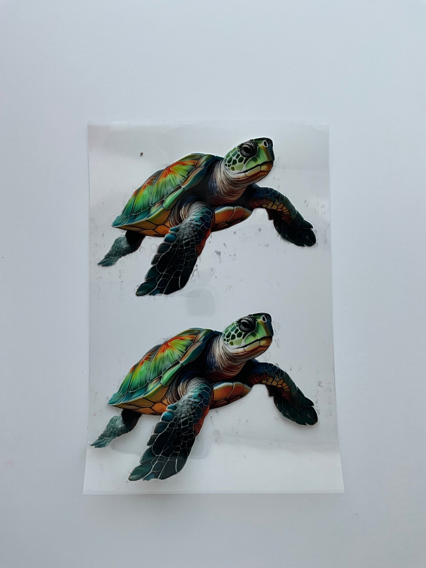 Turtle 2