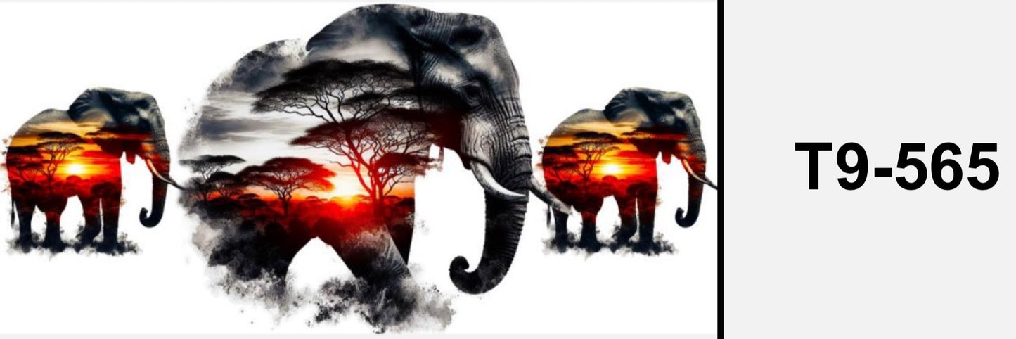 Elefant T9-565