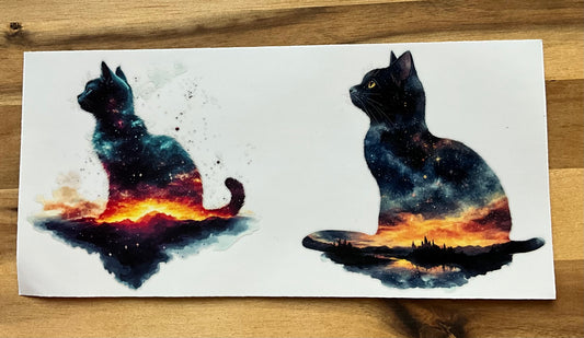 Wundervolle Katzen