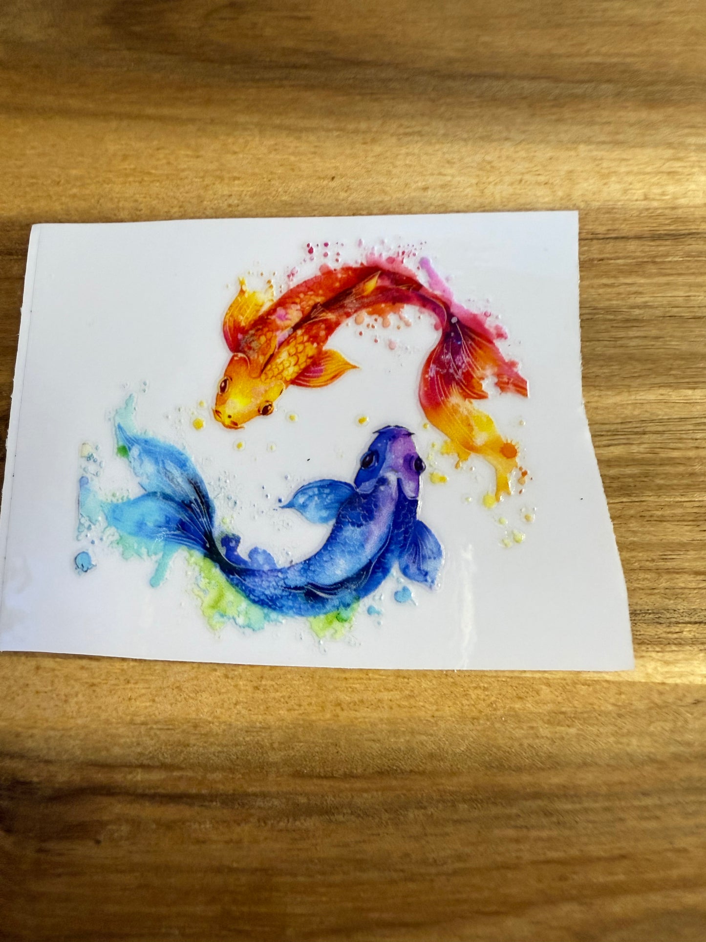 327 verschiedene Fische