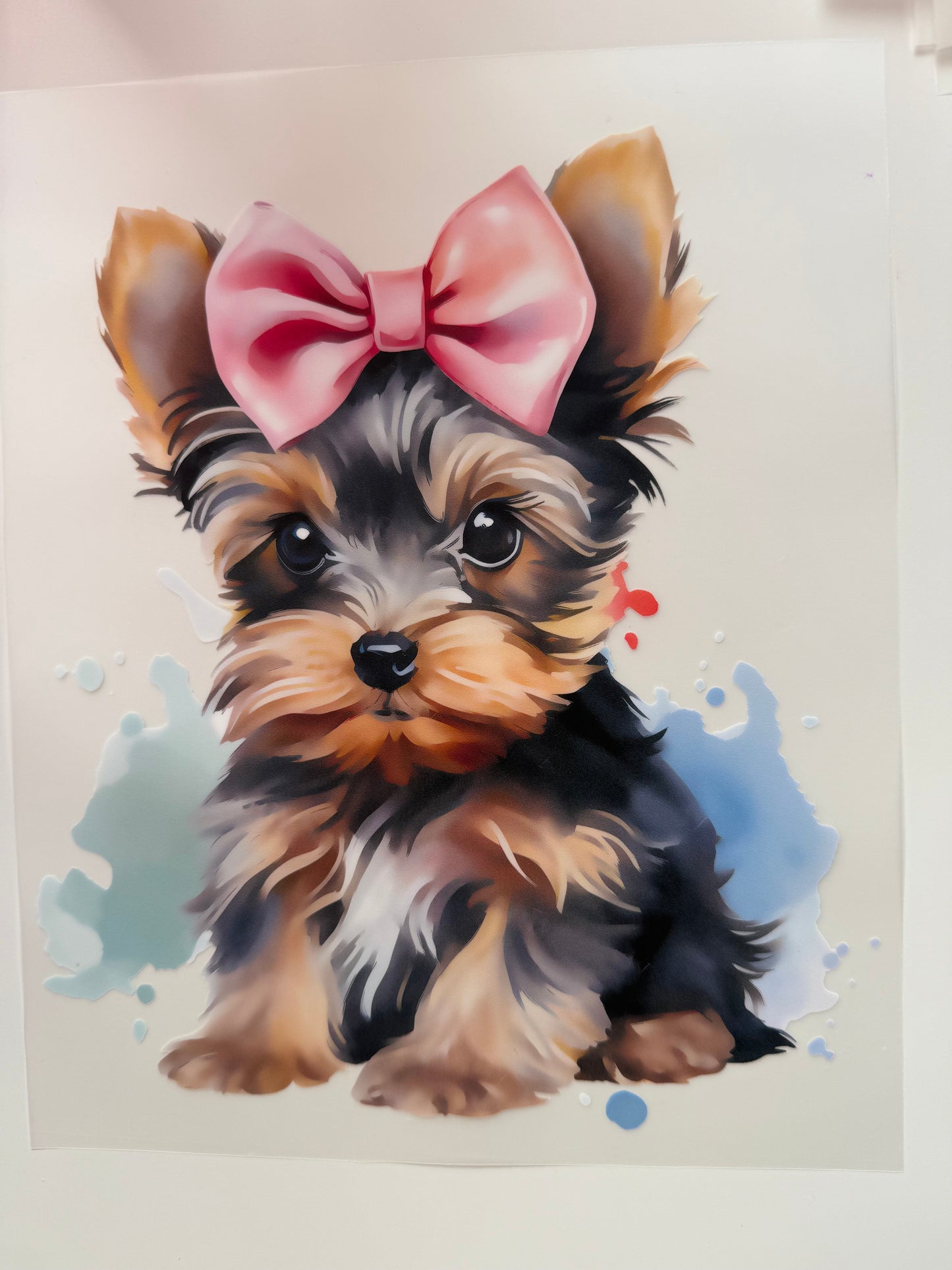 Yorkshire Terrier Pink bow 🎀