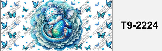 Sleeping Dragon T9-2224