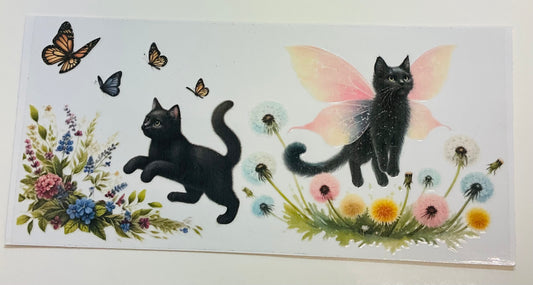 256 Katze