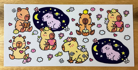 Capybara birthday