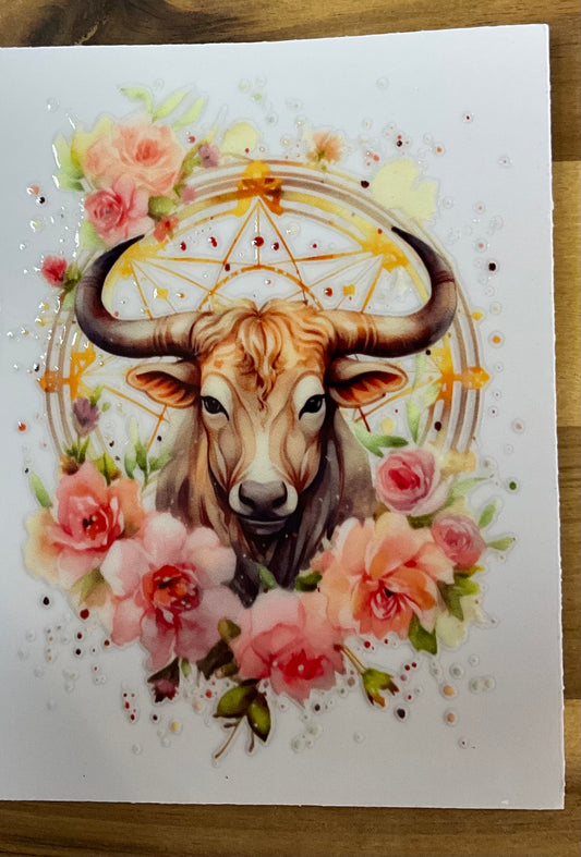 Solo Sternzeichen Stier
