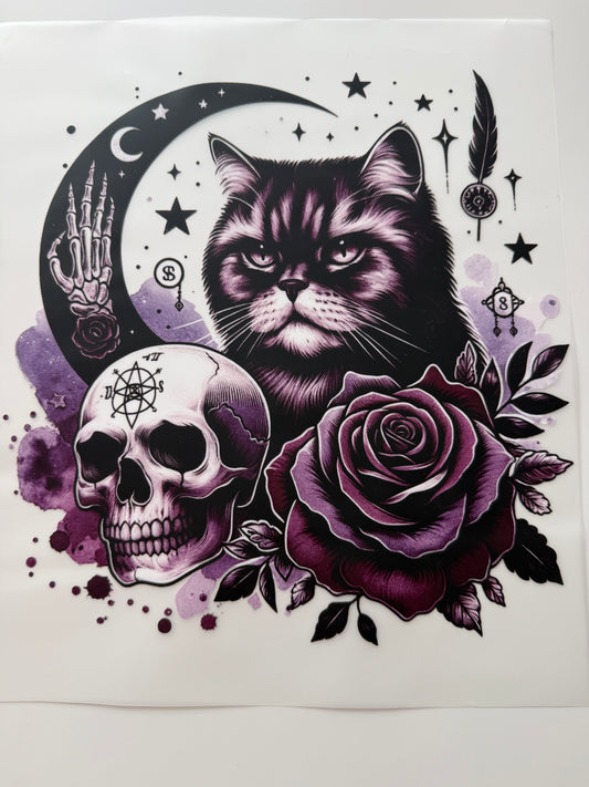 Katze und Totenkopf