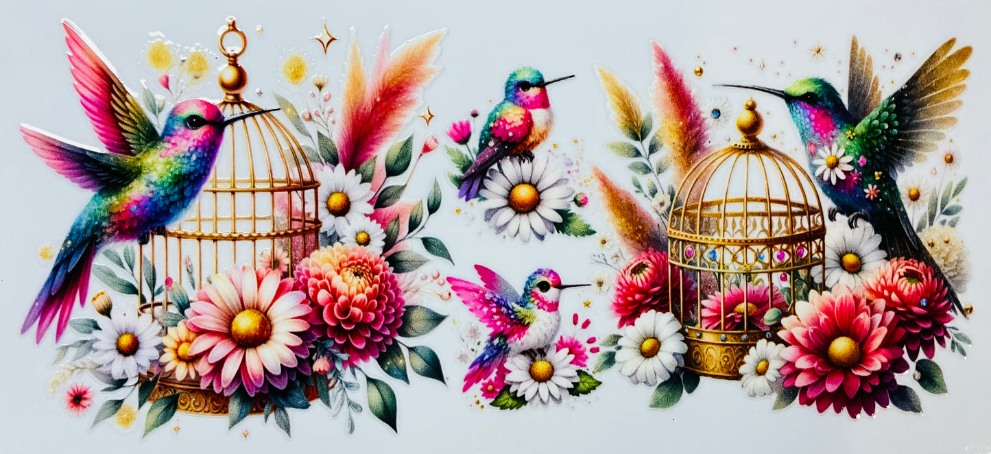Kolibri