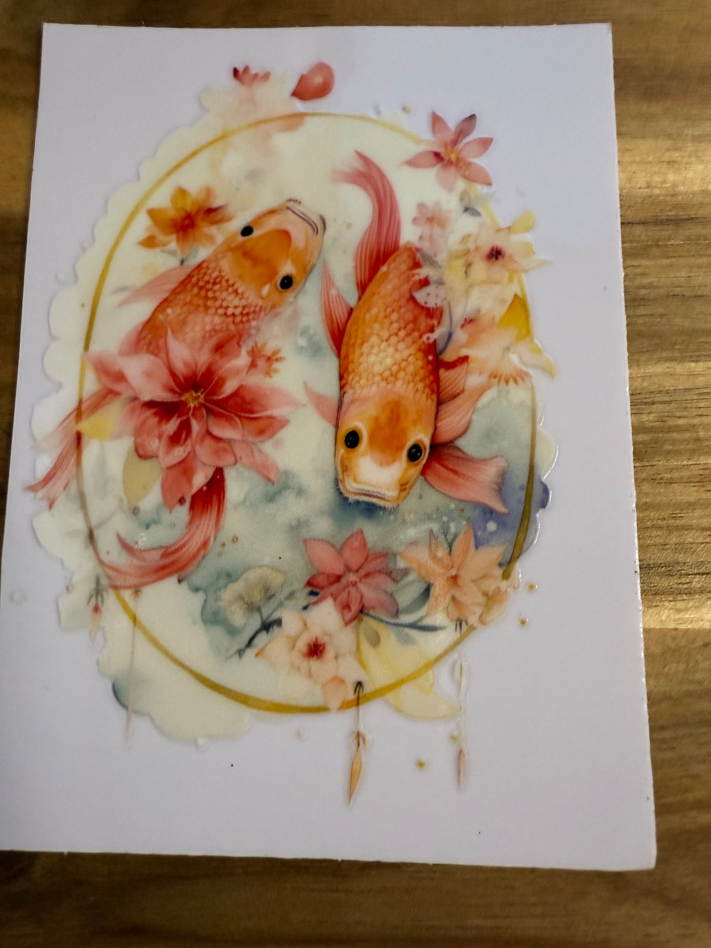 327 verschiedene Fische