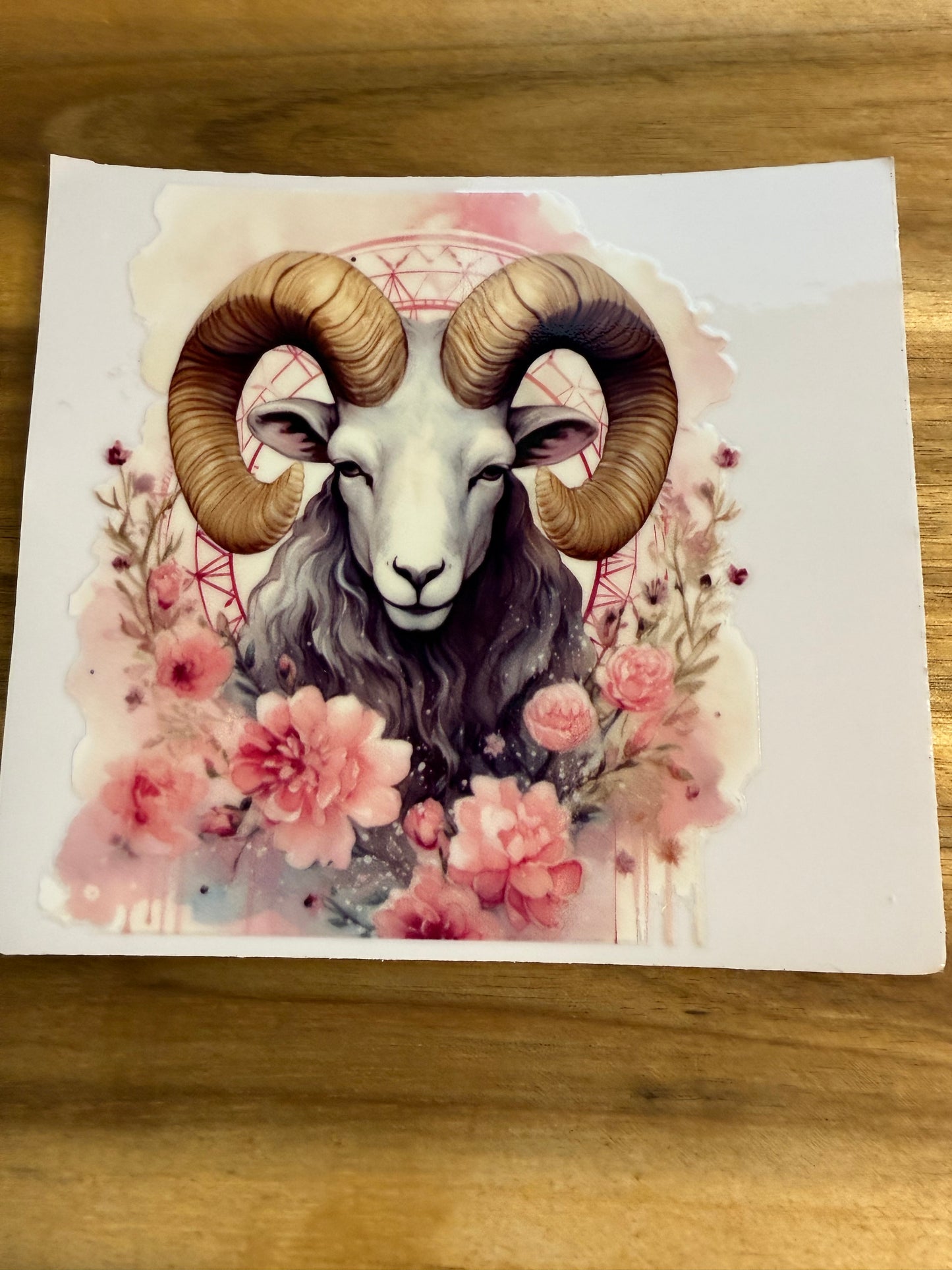 334 verschiedene Widder Sternzeichen