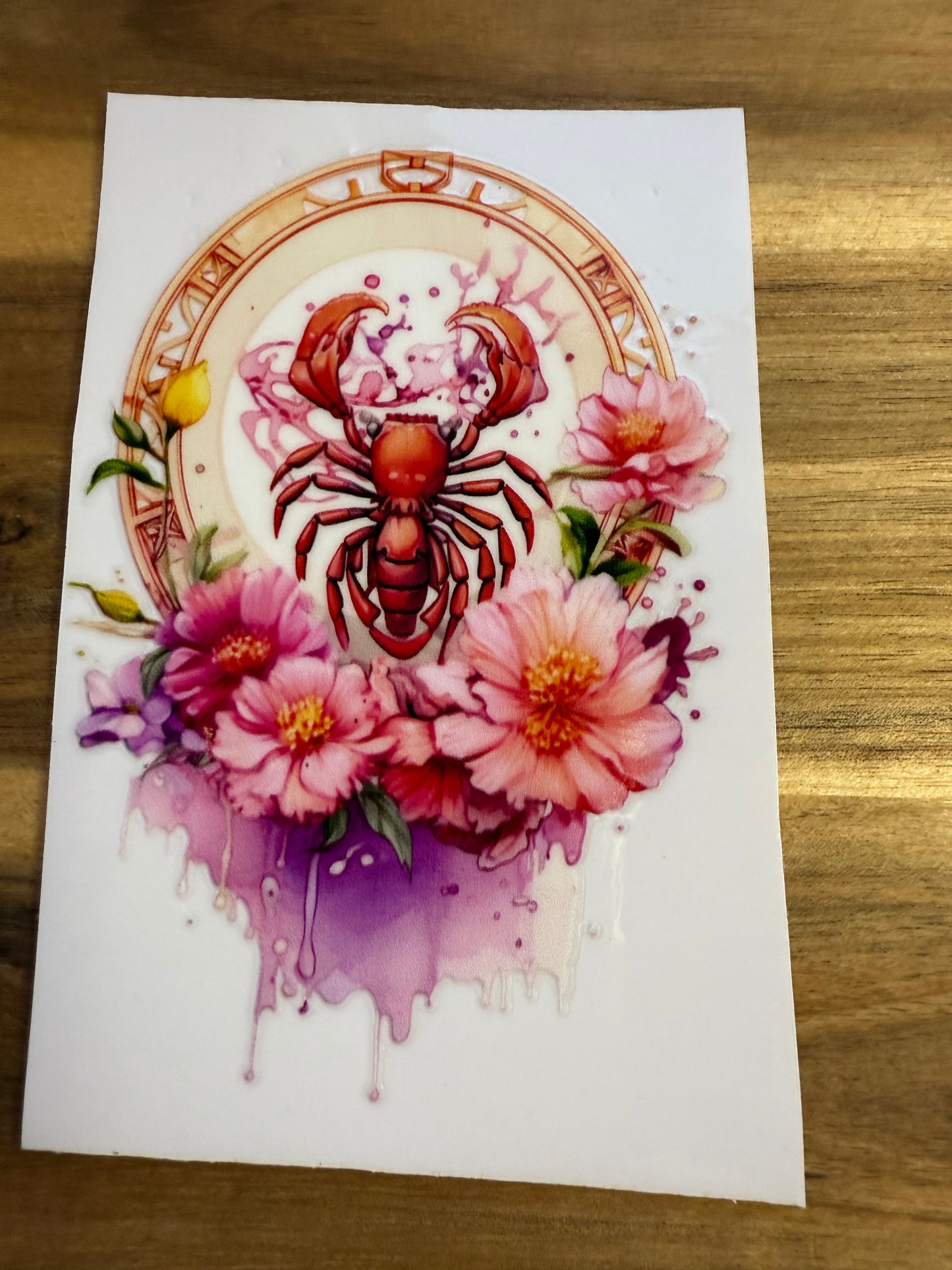 333 verschiedene Krebs