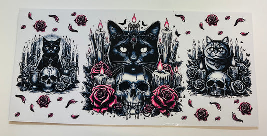 247 Katze und Totenkopf