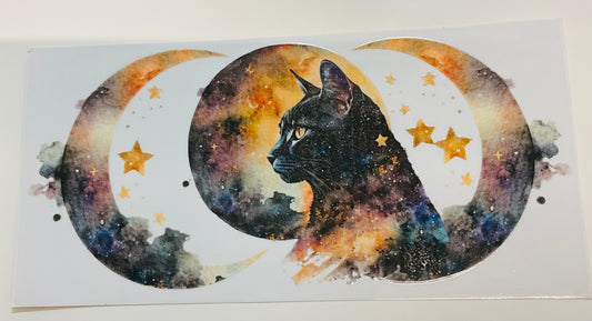260 Katze