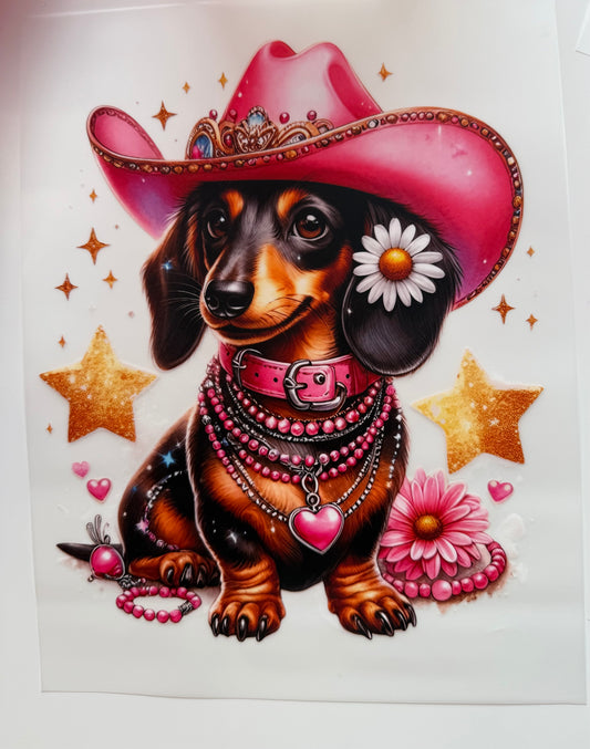Dackel